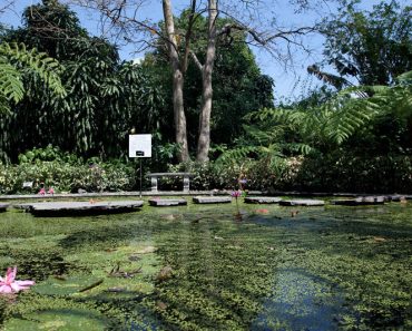 La Laguna Botanical Garden in San Salvador – El Salvador