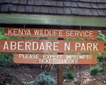 Aberdare National Park – Kenya