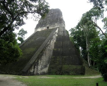 High Mayan Temple in Lamanai – Belize