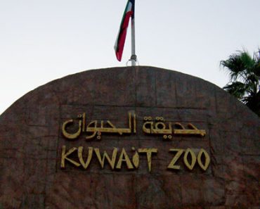 Kuwait Zoo – Kuwait