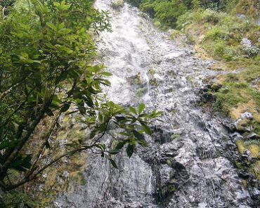 La Tigra National Park in Tegucigalpa – Honduras