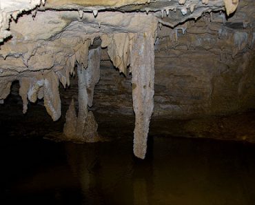 Waitomo Caves in North Island – New Zealand