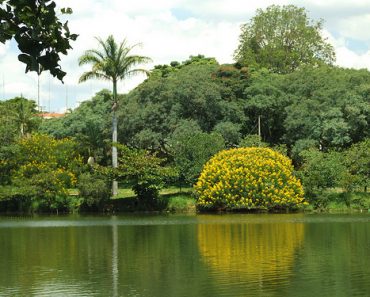 Lagoa do Taquaral Park in Sao Paulo – Brazil