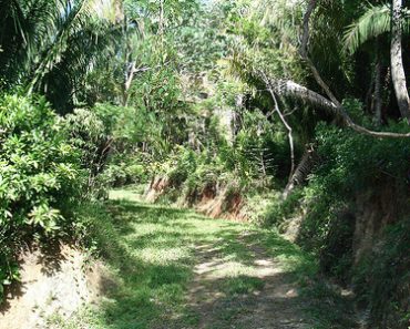 Carambola Gardens in Roatan Island – Honduras