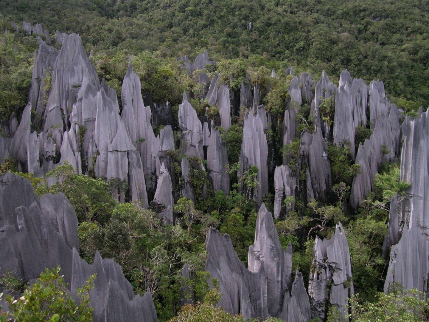 Gunung Mulu National Park in Sarawak – Malaysia | Tourist Spots Around